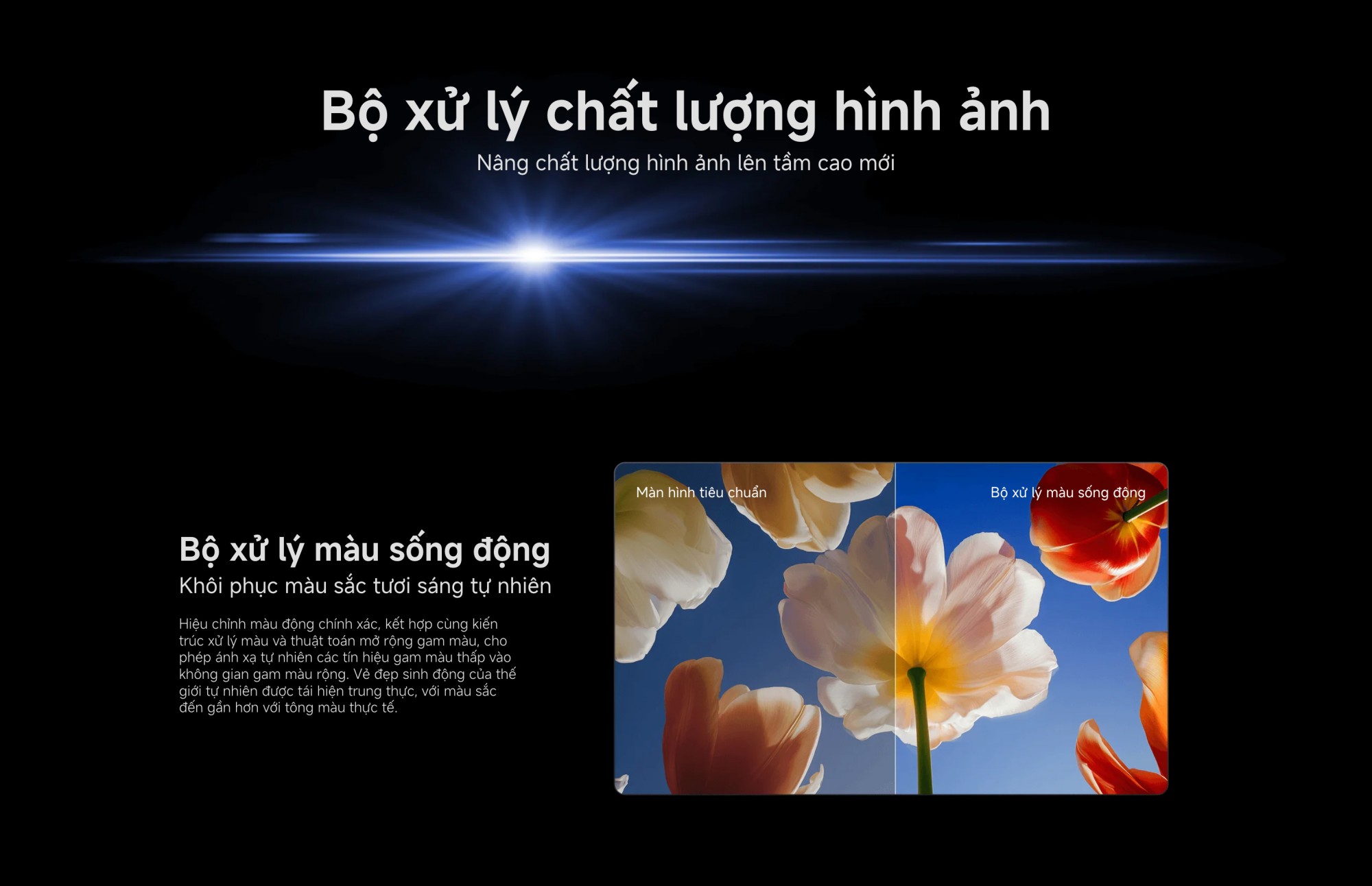 Xiaomi TV S Mini LED 65 2026 | 65 Inch – QD-Mini LED – 4K/60Hz – 2GB/32GB